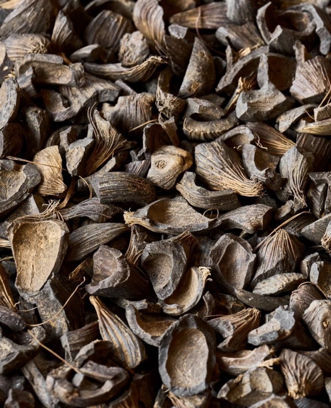 Palm Kernel Shell